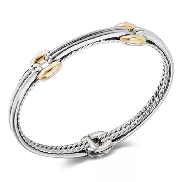 David Yurman Sterling Silver & 18K Yellow Gold Thoroughbred Double Link Bracelet - Picture 1 of 8